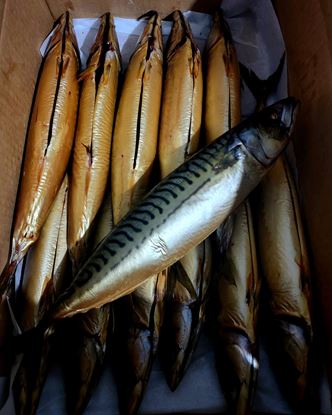 Picture of Gold Smoked Jumbo Mackerel