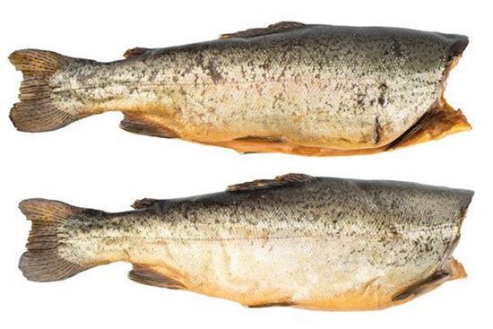 Picture of Cold Smoked Steelhead Trout "Syomga"